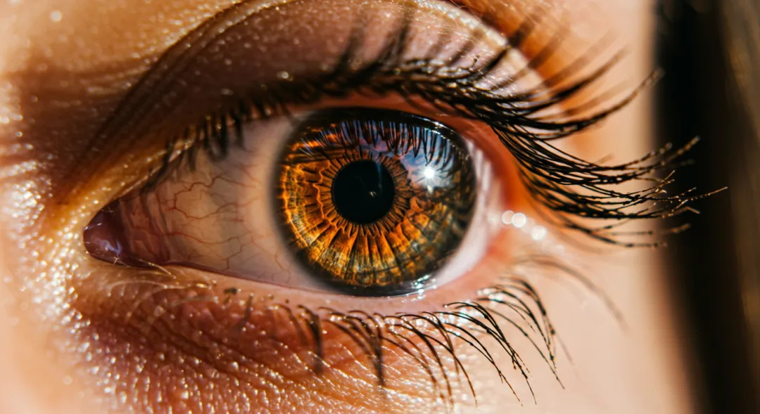 d2b5ca33bd20250516133741