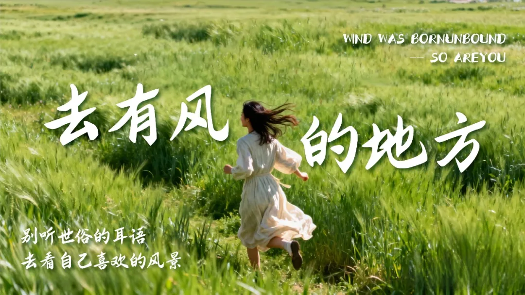 d2b5ca33bd20251231151452